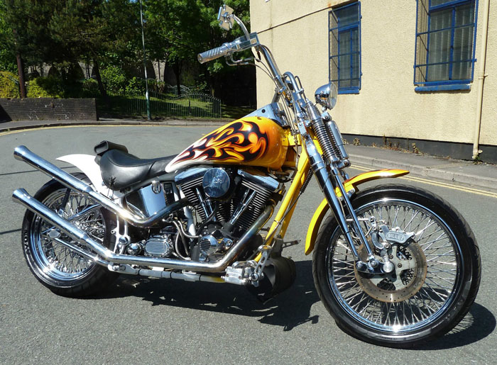 2002 Harley Davidson Custom 1