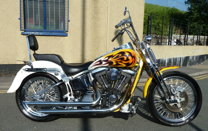 2002 Harley Davidson Custom 2