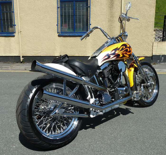 2002 Harley Davidson Custom 3