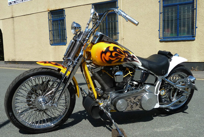 2002 Harley Davidson Custom 4