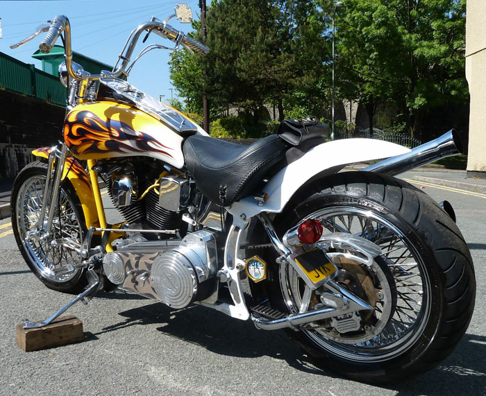 2002 Harley Davidson Custom 5