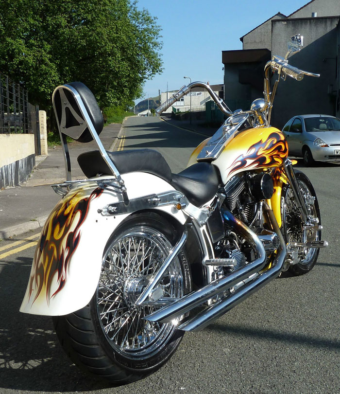 2002 Harley Davidson Custom 7