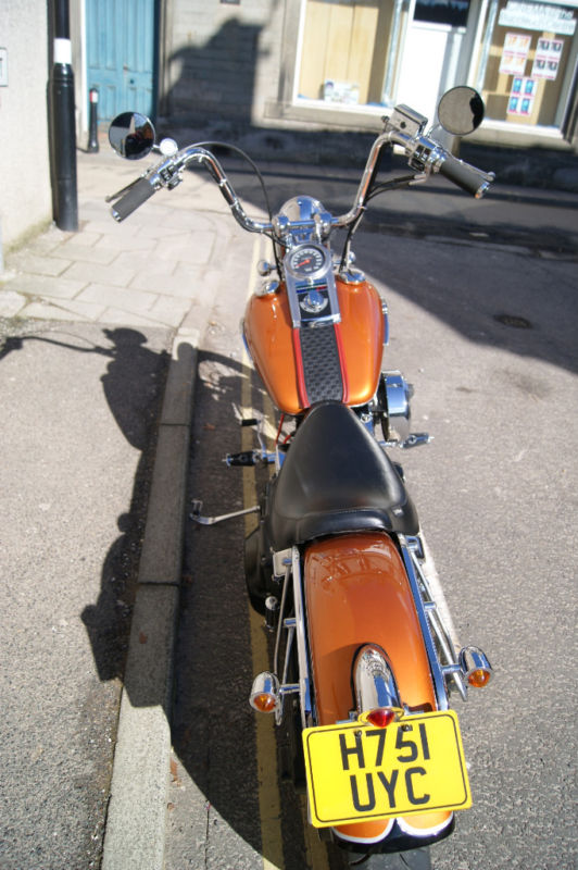 1990 harley davidson softtail springer back