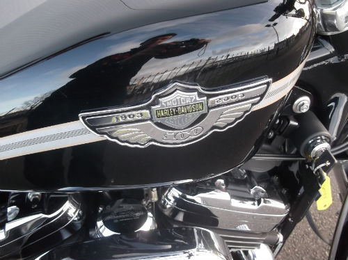 2002 harley davidson xl 1200c custom sportster tank