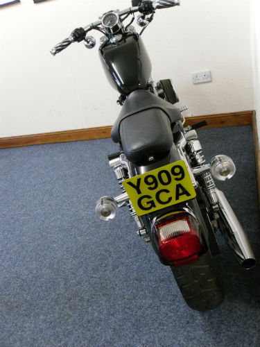 2001 harley-davidson xl883c sportster back