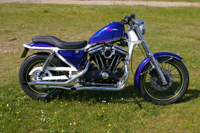 1990 Harley Davidson Roadster Sportster 2