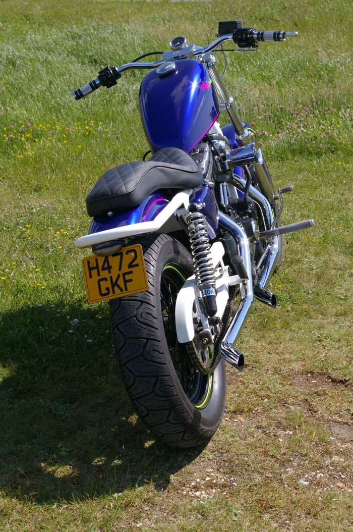 1990 Harley Davidson Roadster Sportster Back