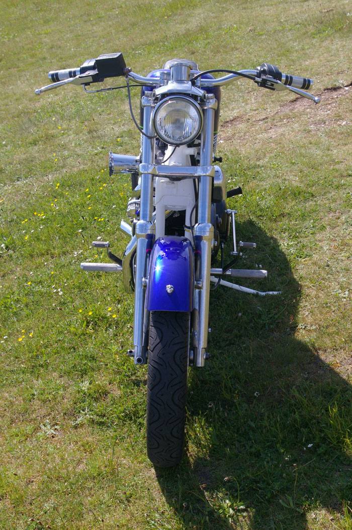 1990 Harley Davidson Roadster Sportster Front