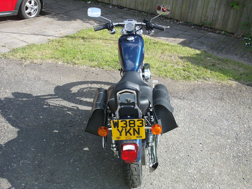 2000 Harley-Davidson XL883C Sportster Blue Back