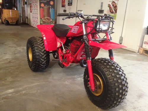 1981 Honda ATC250R 1