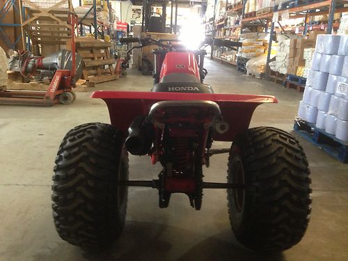 1981 Honda ATC250R Back