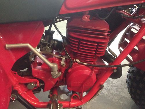 1981 Honda ATC250R Engine