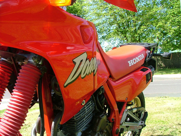 1986 Honda NX 650 Dominator Closeup 1
