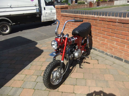 1973 Honda ST 70cc Monkey Bike Front