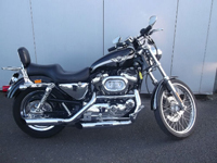 277 2002 harley davidson xl 1200c custom sportster icon
