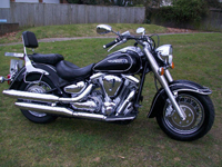 356 1999 yamaha xv 1600 wild star icon