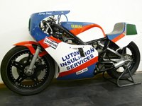 481 1981 Yamaha TZ250 Grand Prix Race Bike Icon