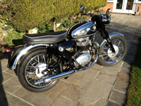 497 1965 BSA A65 Icon