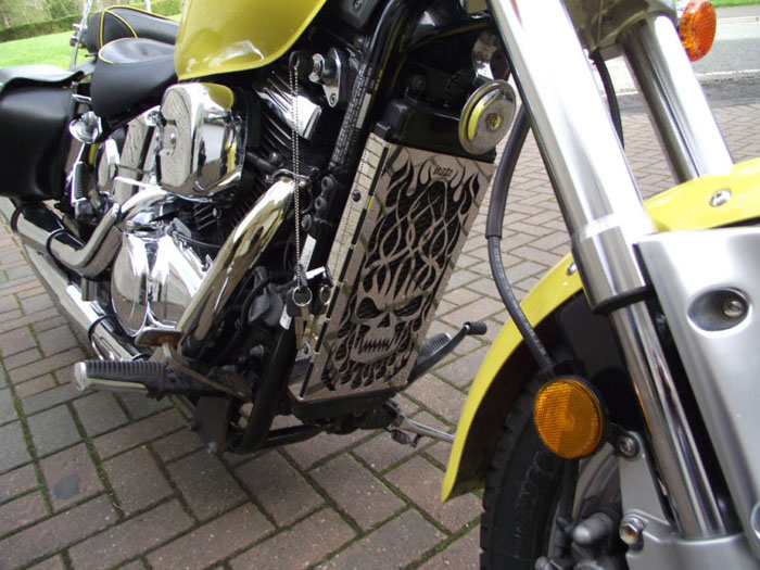 1999 suzuki marauder 800 vz skull