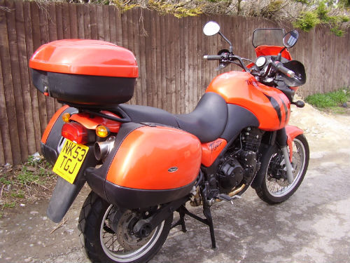 2003 triumph tiger 955i back