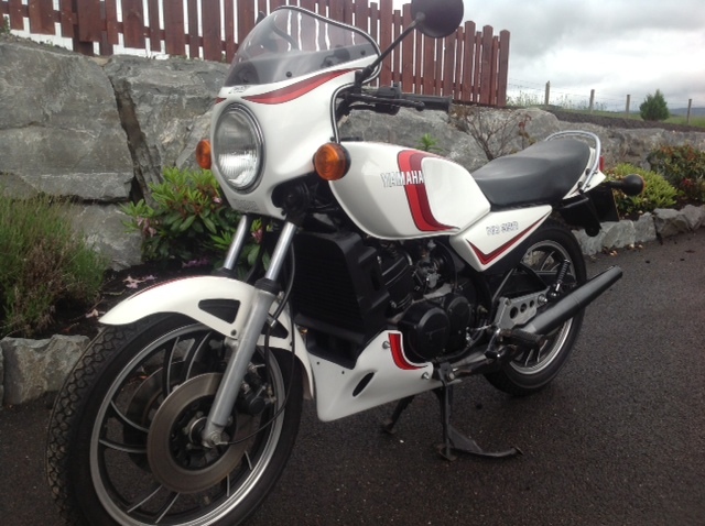 1981 Yamaha RD 350 LC 3